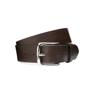 Etiam ut metus ut leo malesuada